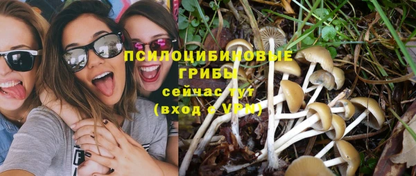 мяу мяу кристалл Ельня