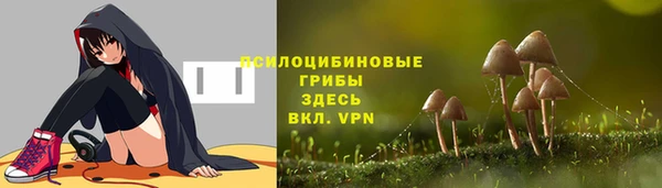 экстази Елизово