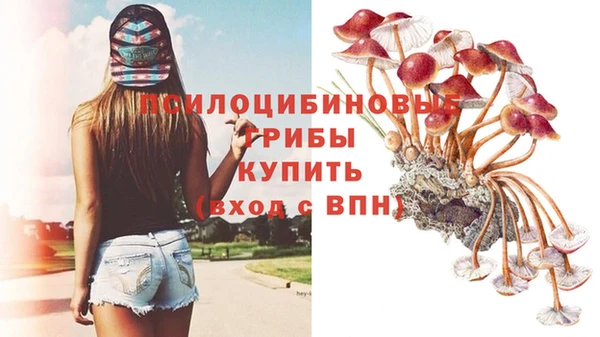 MDMA Premium VHQ Елабуга