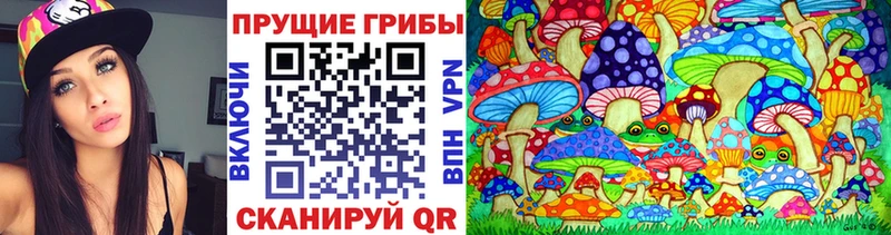 купить наркотик  Перевоз  hydra ONION  Псилоцибиновые грибы MAGIC MUSHROOMS 
